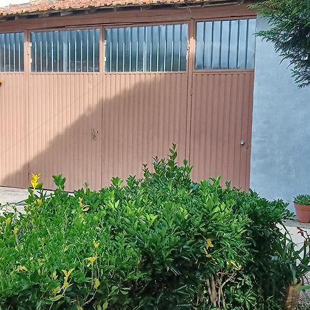 Casa Da Vovo Ceu - Casa De Campo Gandaresa - Country House, Entre Coimbra E Aveiro, A 15 Minutos Carro Praia Mira - Quintal Com Piscina Insuflavel Cantanhede Eksteriør bilde