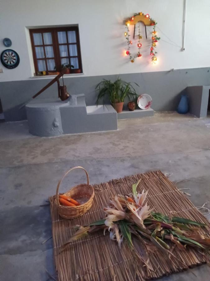 Casa Da Vovo Ceu - Casa De Campo Gandaresa - Country House, Entre Coimbra E Aveiro, A 15 Minutos Carro Praia Mira - Quintal Com Piscina Insuflavel Cantanhede Eksteriør bilde