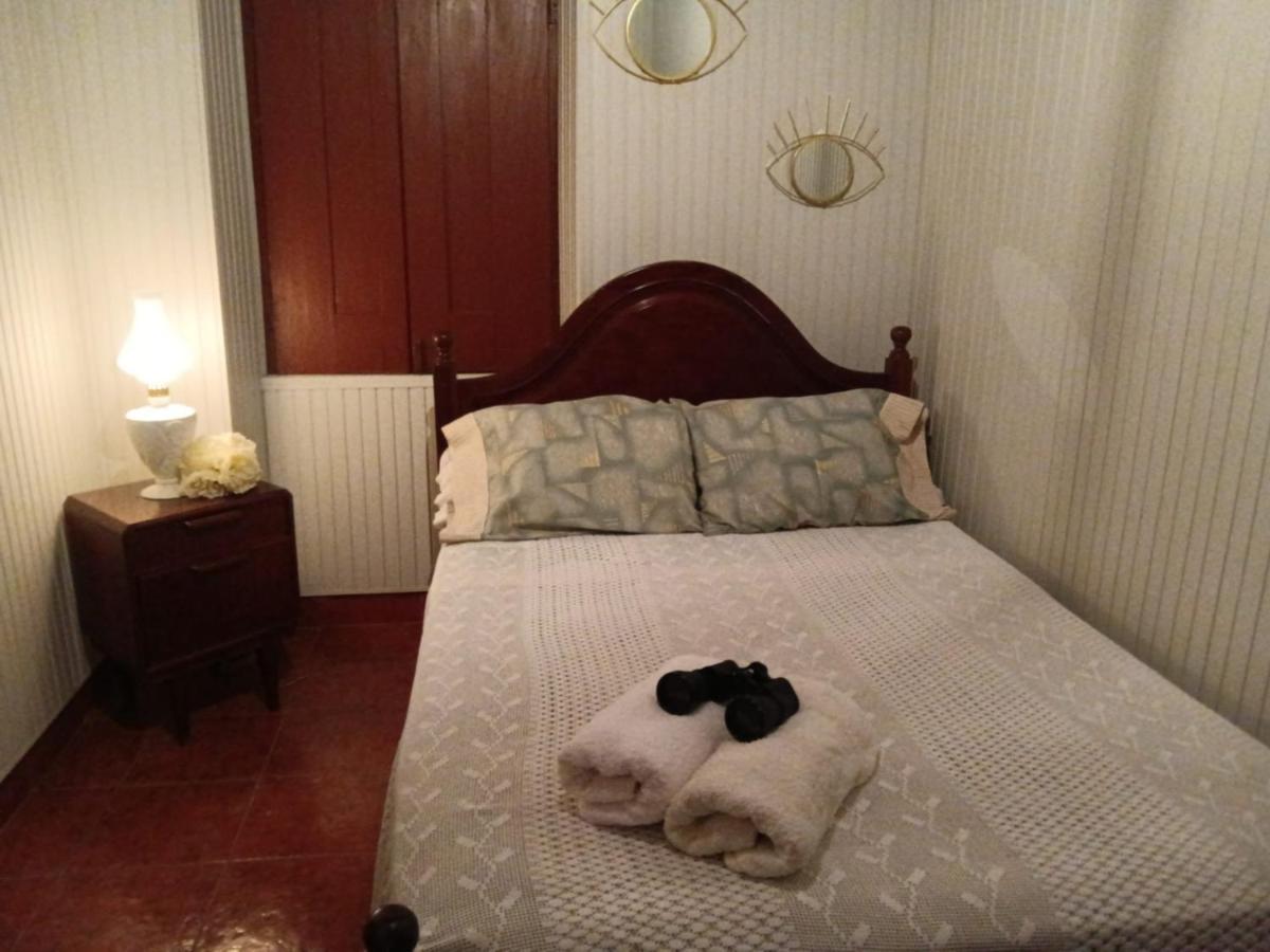 Casa Da Vovo Ceu - Casa De Campo Gandaresa - Country House, Entre Coimbra E Aveiro, A 15 Minutos Carro Praia Mira - Quintal Com Piscina Insuflavel Cantanhede Eksteriør bilde